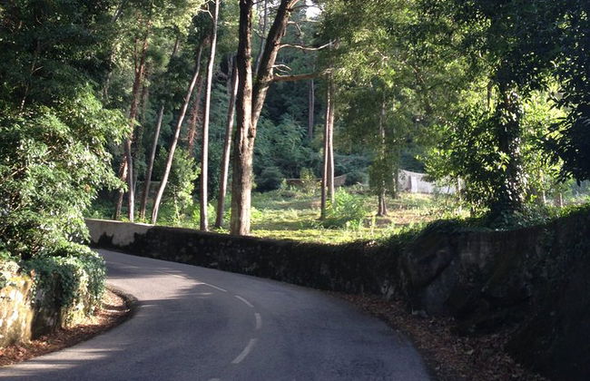 Bestseller - Excursión de un día a SINTRA - Todo Incluido - Foto 18