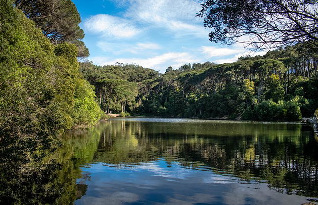 Bestseller - Excursión de un día a SINTRA - Todo Incluido - Foto 17