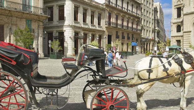 Paseo en coche de caballos por La Habana - Foto 4