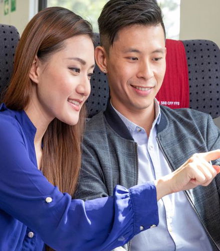 Bild - Swiss Travel and Museums Pass - Ticket