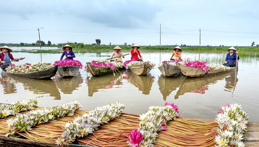 La historia de los túneles de Cu Chi en lancha rápida - Tour en grupo pequeño - Foto 1