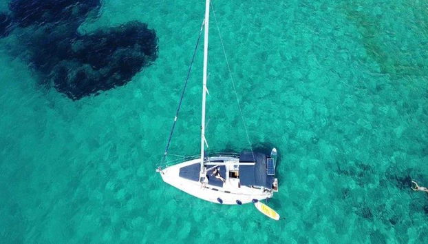 Half day Sailing Tour Mallorca: Small Groups, Drinks, food, Swim Clear Water - From Palma - Photo 3
