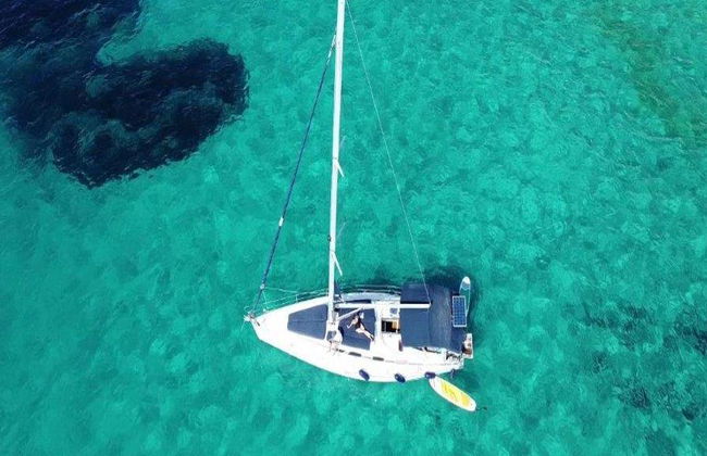Half day Sailing Tour Mallorca: Small Groups, Drinks, food, Swim Clear Water - From Palma - Photo 3
