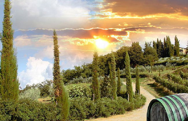 Tour en grupo reducido de vino Brunello di Montalcino desde Siena - Foto 7