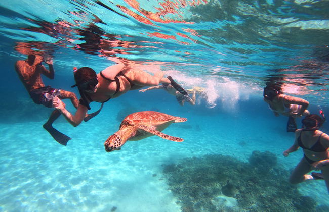 Snorkelling in Gili Meno - Photo 5