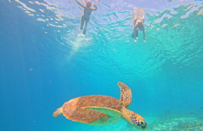 Snorkelling in Gili Meno - Photo 6