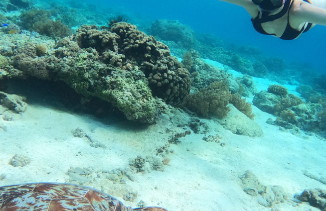Snorkelling in Gili Meno - Photo 9