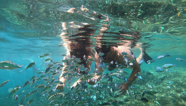 Snorkelling in Gili Meno - Foto 2