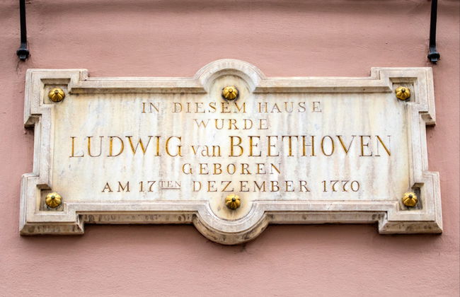 Visita guidata di Bonn - Foto 4