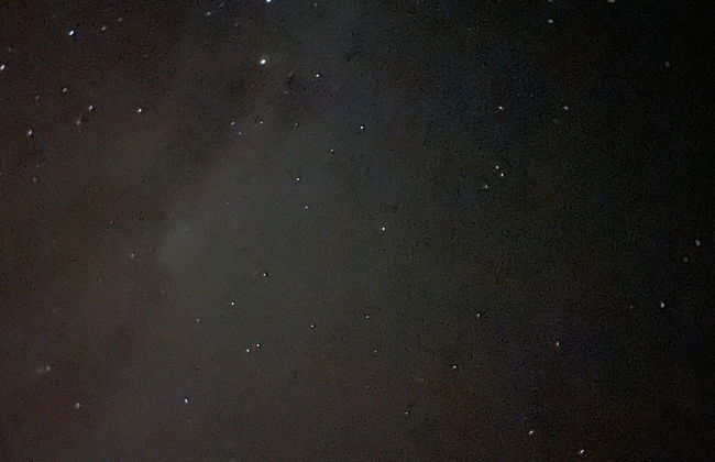 Tepuhueico Park Nighttime Hike - Photo 3