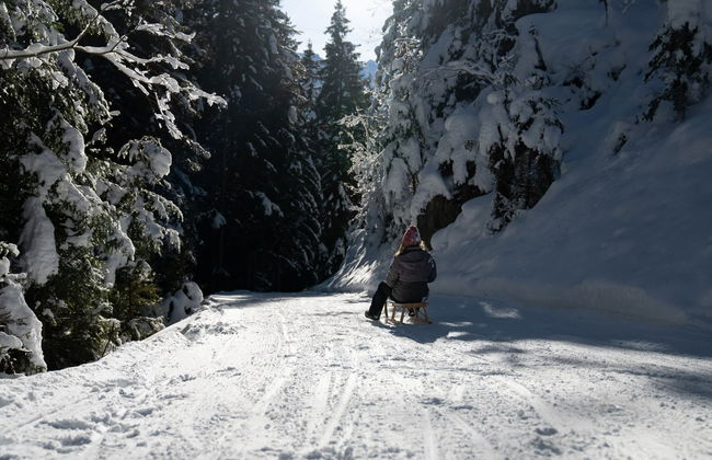 Sledding in the Bernese Alps - Photo 5