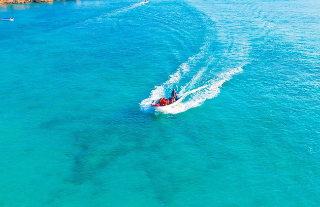 Excursión a Bahía de las Águilas - Foto 8