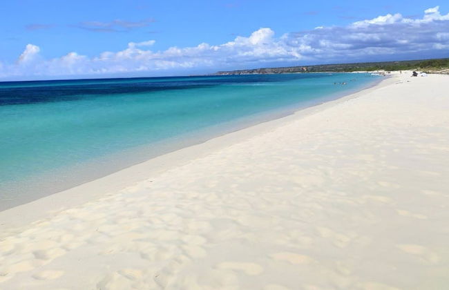 Excursión a Bahía de las Águilas - Foto 6