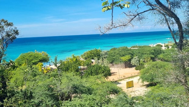 Excursión a Bahía de las Águilas - Foto 4