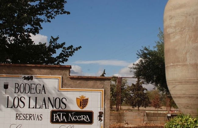Visita a la bodega Los Llanos y la Cueva del Arte - Foto 5