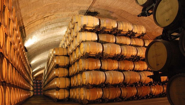 Toneles de la bodega Señorío de Los Llanos