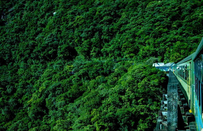 Excursión a Morretes y Antonina en tren - Foto 1