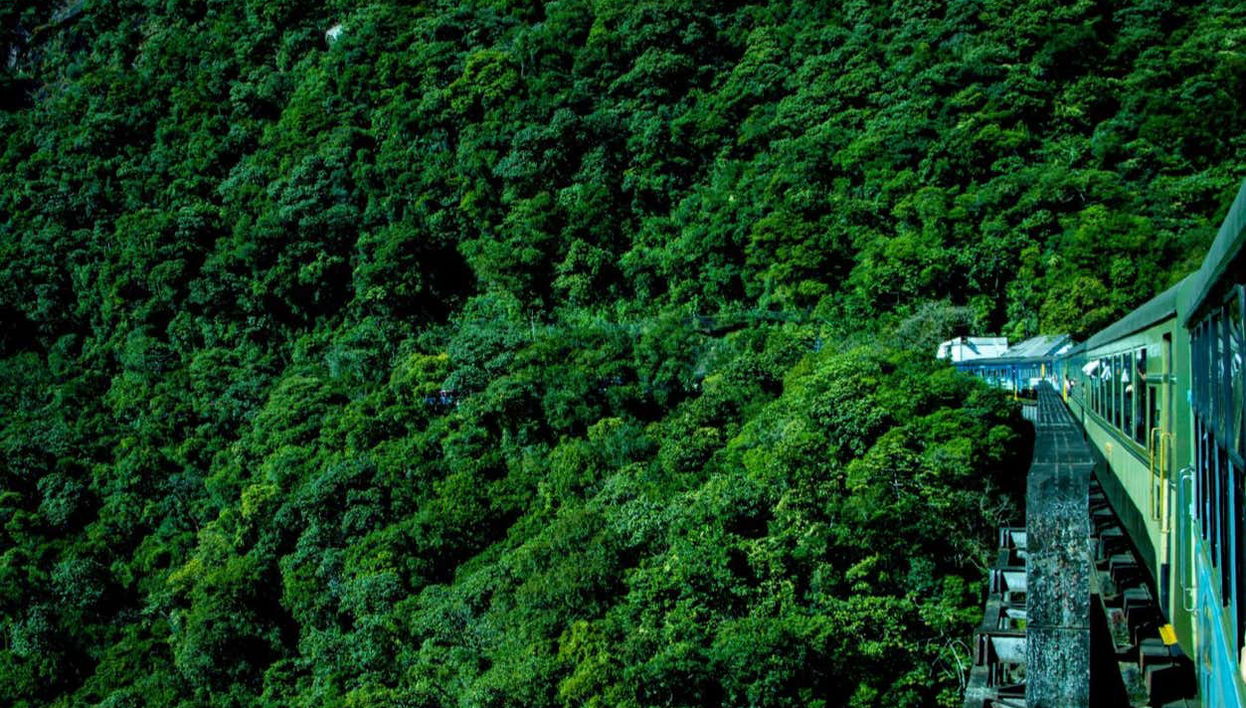 Excursión a Morretes y Antonina en tren - Foto 1