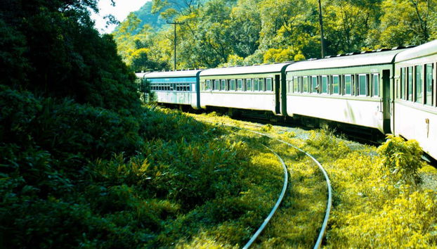 Excursión a Morretes y Antonina en tren - Foto 4