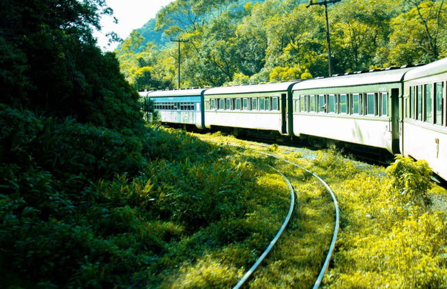 Excursión a Morretes y Antonina en tren - Foto 4