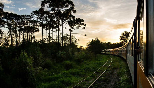 Excursión a Morretes y Antonina en tren - Foto 5
