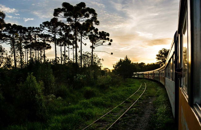 Excursión a Morretes y Antonina en tren - Foto 5