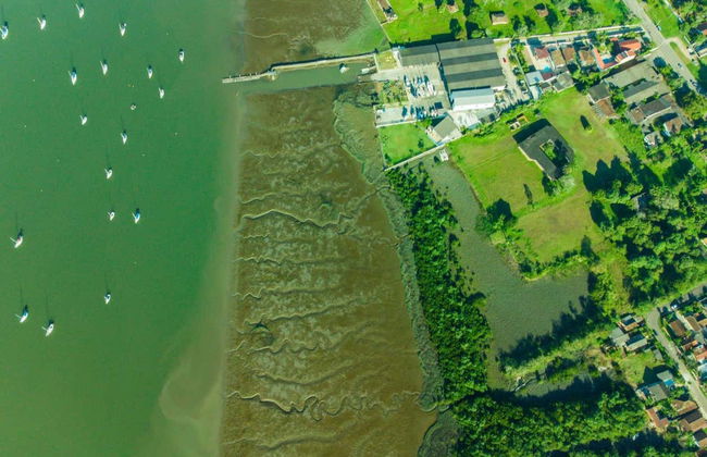 Excursión a Morretes y Antonina en tren - Foto 7