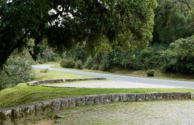 Excursión a Morretes y Antonina en tren - Foto 8