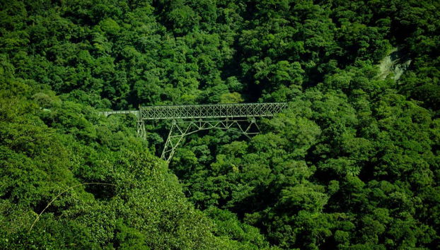 Excursión a Morretes y Antonina en tren - Foto 3