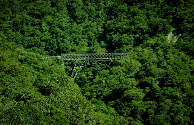 Excursión a Morretes y Antonina en tren - Foto 3