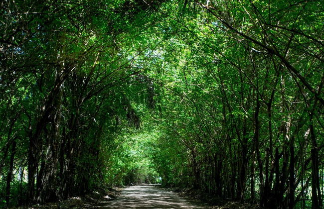 Excursão a São Miguel dos Milagres - Foto 5
