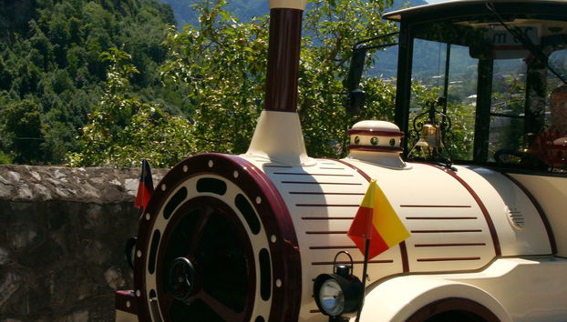 Sightseeing Train Tour of Vaduz - Foto 5