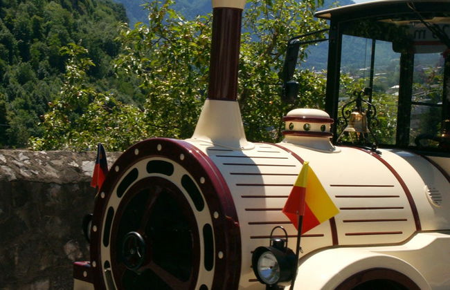 Sightseeing Train Tour of Vaduz - Foto 5