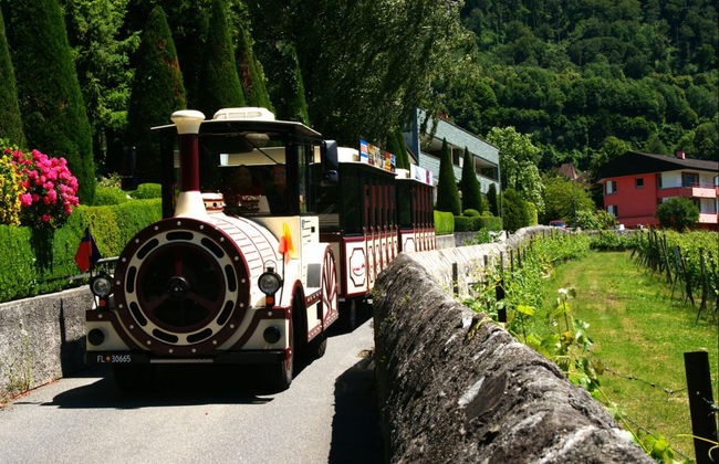 Sightseeing Train Tour of Vaduz - Foto 1