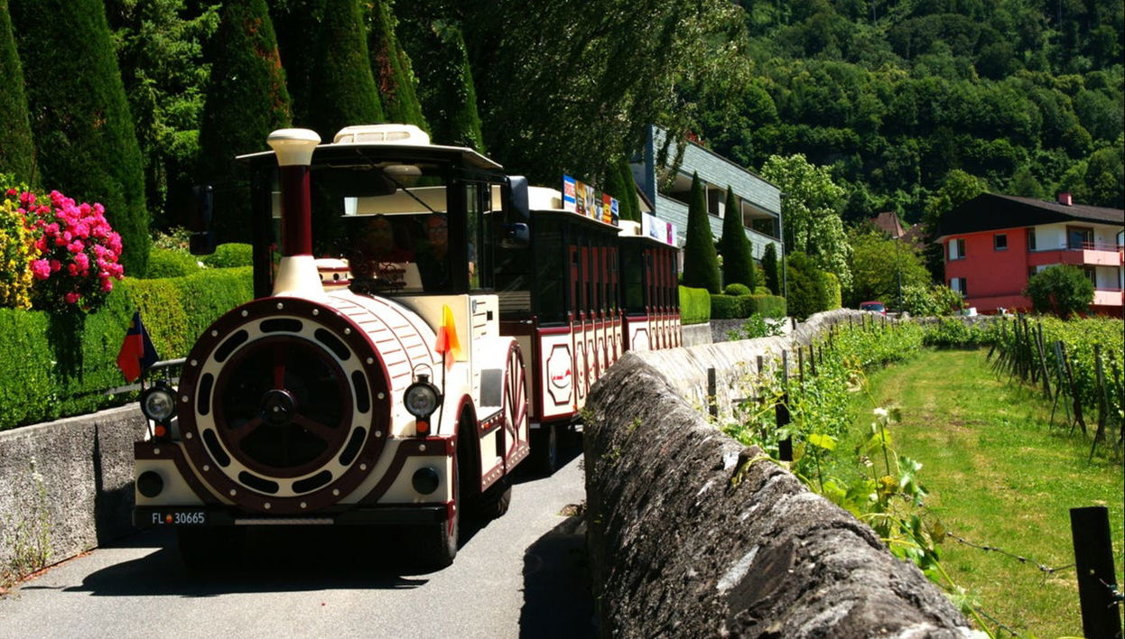 Sightseeing Train Tour of Vaduz - Foto 1