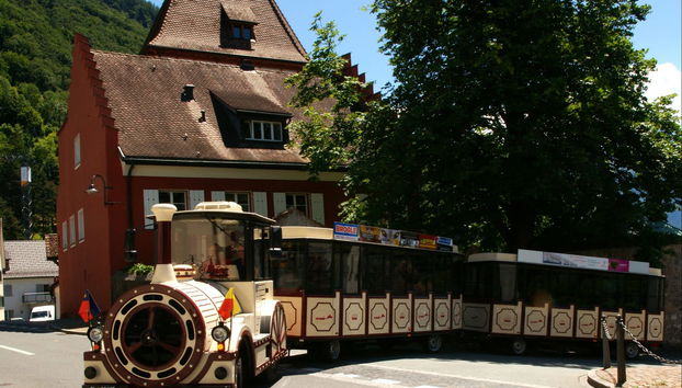 Sightseeing Train Tour of Vaduz - Foto 4