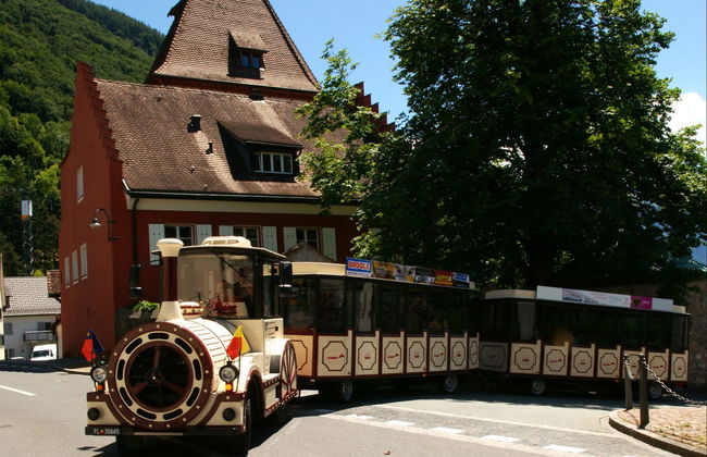Sightseeing Train Tour of Vaduz - Foto 4