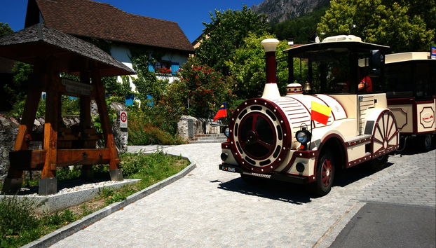 Sightseeing Train Tour of Vaduz - Foto 2