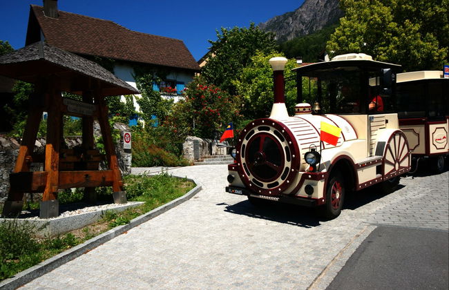 Sightseeing Train Tour of Vaduz - Foto 2