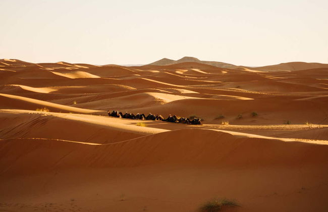 Ciudades Imperiales y desierto de Merzouga en 6 días finalizando en Marrakech - Foto 3