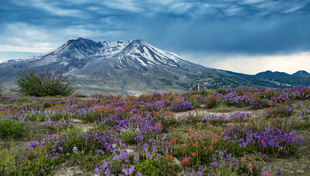 Mount St. Helens Day Trip - Foto 2