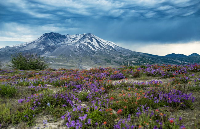 Mount St. Helens Day Trip - Foto 2