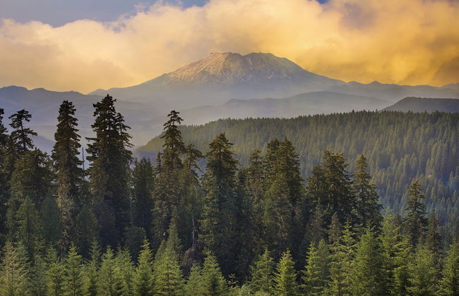 Mount St. Helens Day Trip - Foto 1