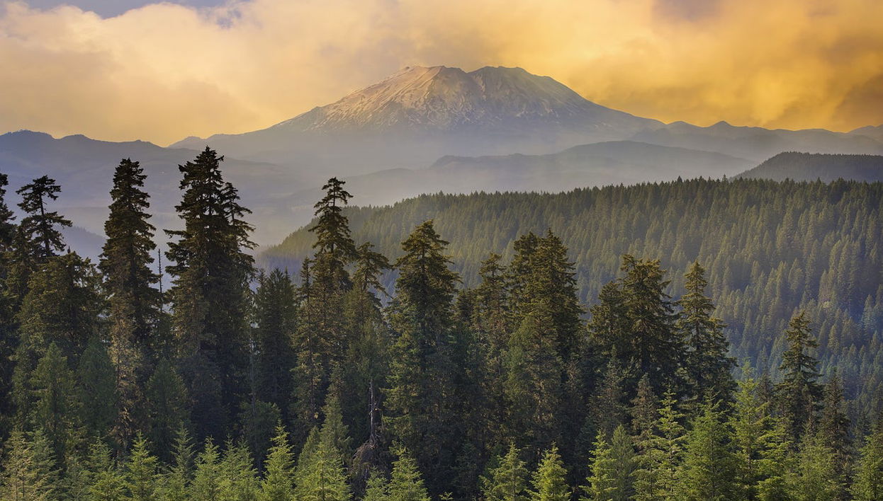 Mount St. Helens Day Trip - Foto 1