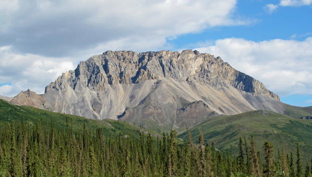 Mount St. Helens Day Trip - Foto 4