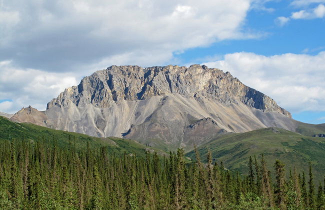 Mount St. Helens Day Trip - Foto 4