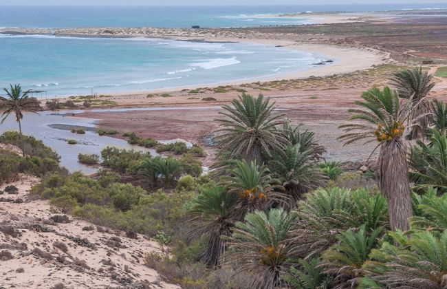 Tour por el noreste de Boa Vista + Playa de Ervatão - Foto 8