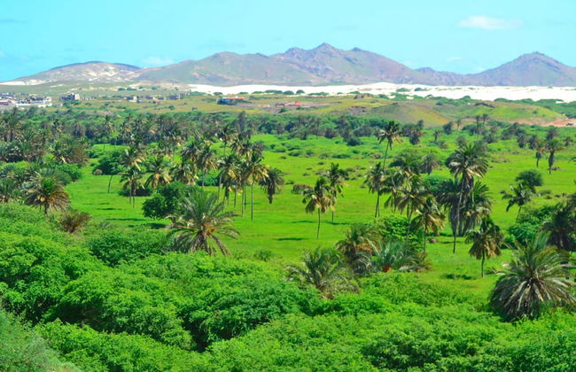 Tour por el noreste de Boa Vista + Playa de Ervatão - Foto 3