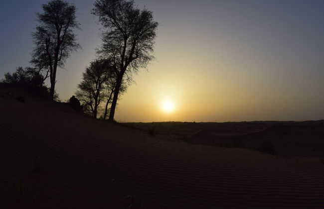 Desert Safari con cena y espectáculo - Foto 3