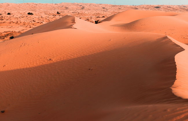 Desert Safari con cena y espectáculo - Foto 8